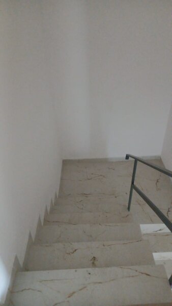 Luptatorii Antifascisti,