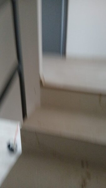 Luptatorii Antifascisti,