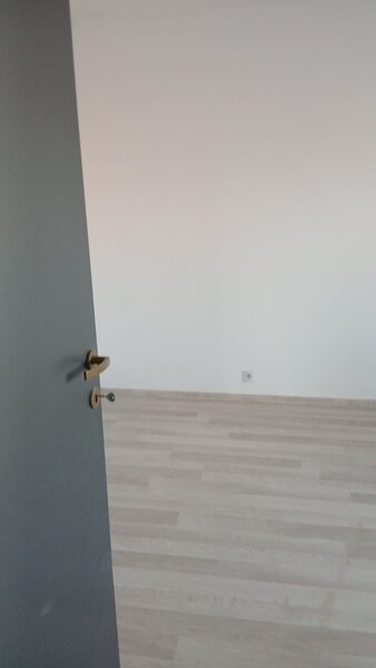 Luptatorii Antifascisti,